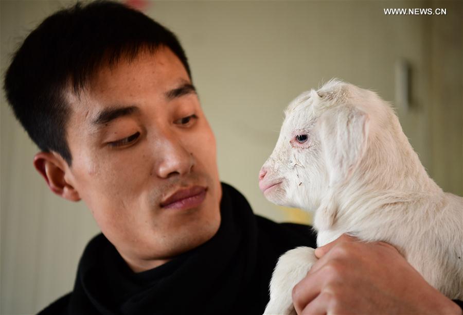 شاب صيني يساعد فلاحين في قريته على زيادة الدخل