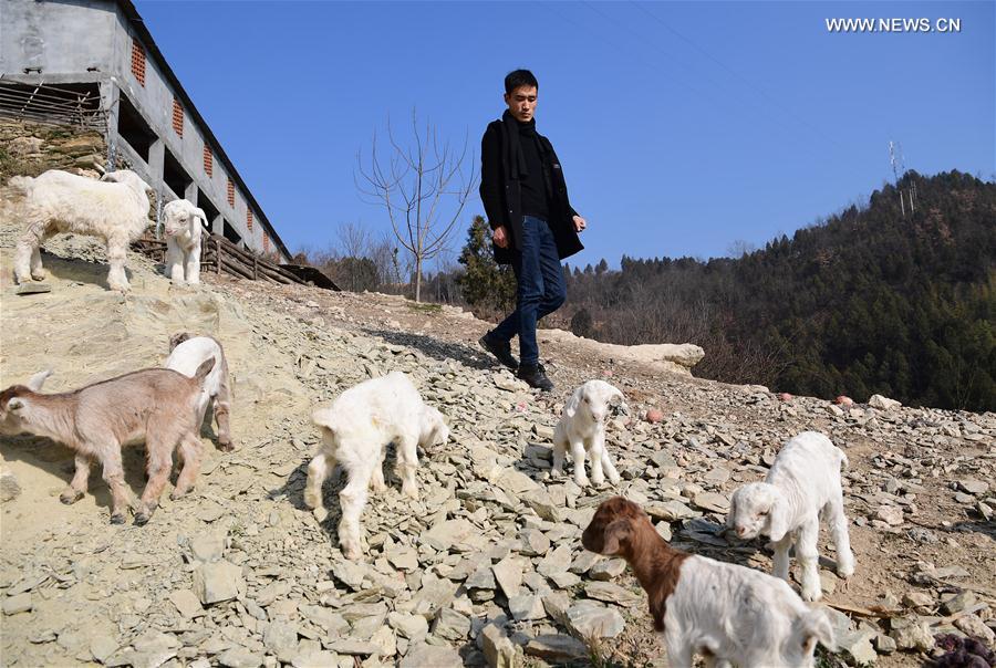شاب صيني يساعد فلاحين في قريته على زيادة الدخل