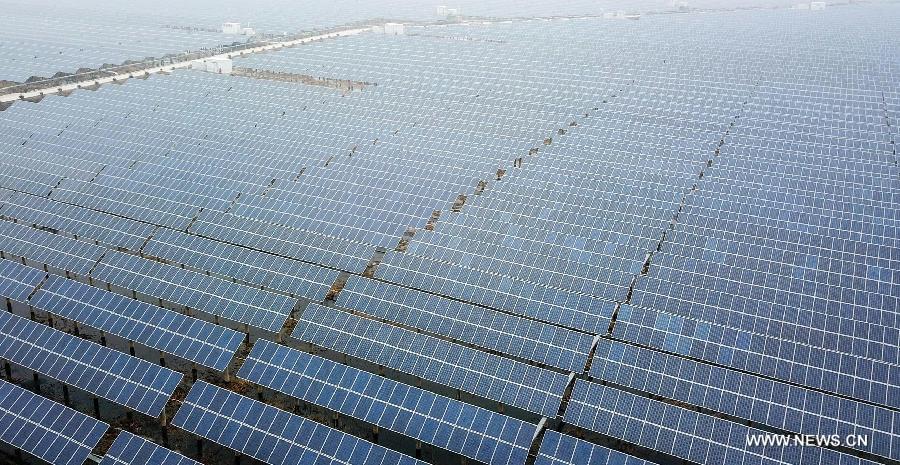 صحيفة: 5 طرق تستطيع الصين الرد بهم على التعريفة التي فرضتها الولايات المتحدة على الألواح الشمسية