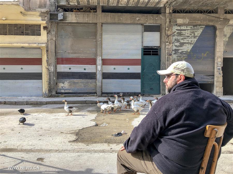 تحقيق إخباري: تربية الطيور تكسر صمت مشاهد الدمار في حمص القديمة بسوريا