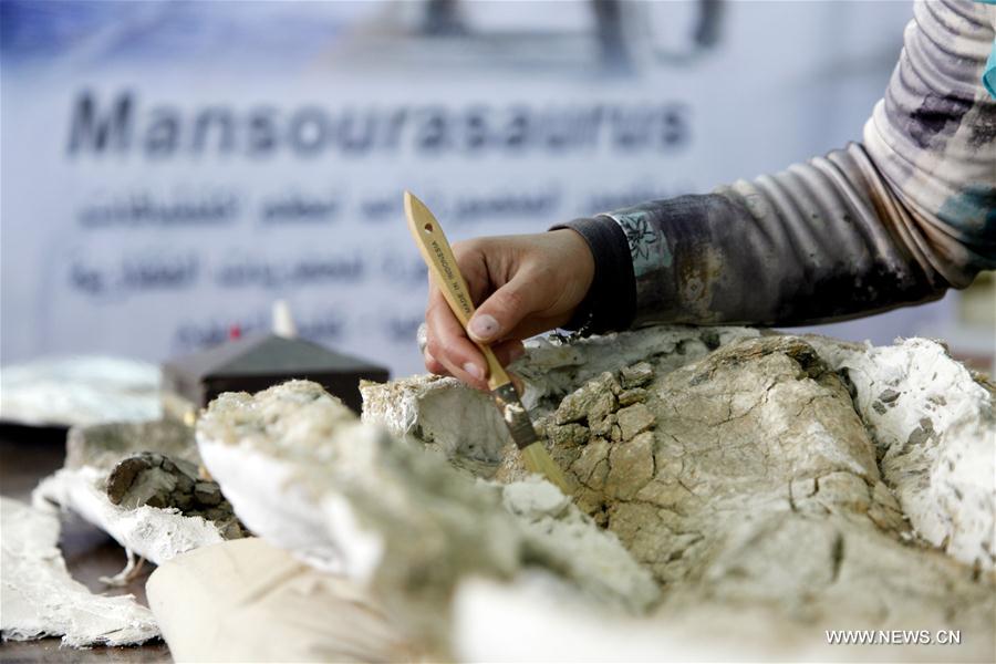 مقالة : اكتشاف مصر ديناصور نادر يؤكد وجود اتصال بين أفريقيا وأوربا منذ 80 مليون سنة