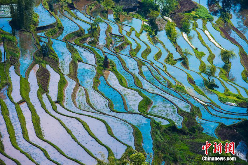 صور: الحقول المدرجة في سيتشوان، لوحة رسمتها الطبيعة