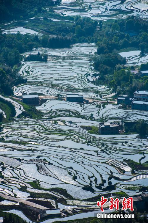 صور: الحقول المدرجة في سيتشوان، لوحة رسمتها الطبيعة