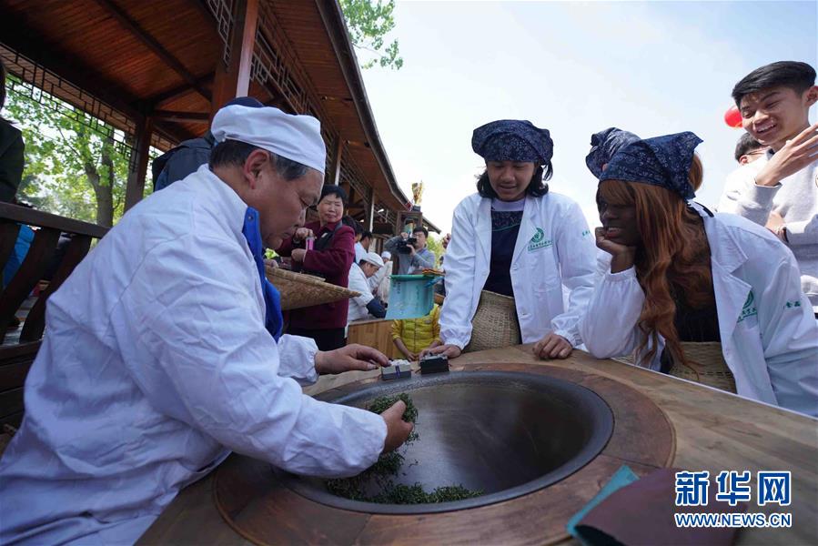 طلاب أجانب يجربون ثقافة الشاي الصيني فى جيانغسو