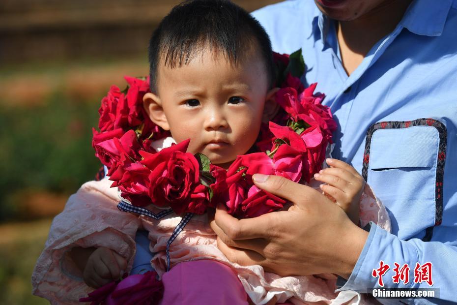 بصور: الورود الصالحة للأكل في يوننان تدخل ذروة التفتح