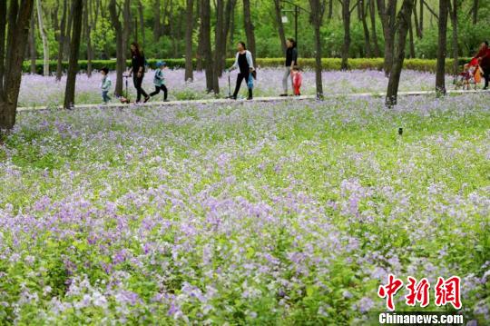 أكثر من 1.9 مليون شخص يزورون حدائق بكين العامة في عطلة يوم العمال