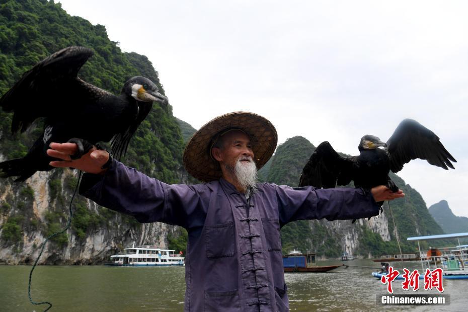 صياد صيني فى سن الـ 79 موديل مشهور في نهر ليجيانغ