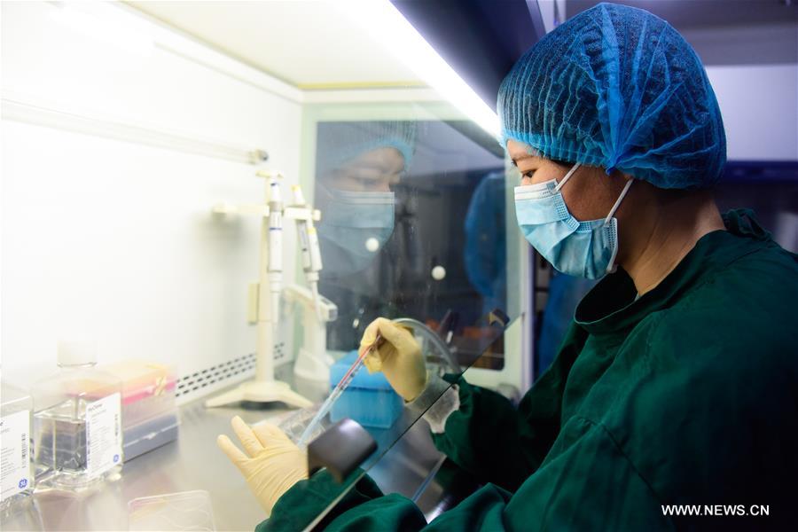 الصين تبتكر أول جهاز طبي بالعالم لاستنبات الخلايا الجذعية بشكل آلي