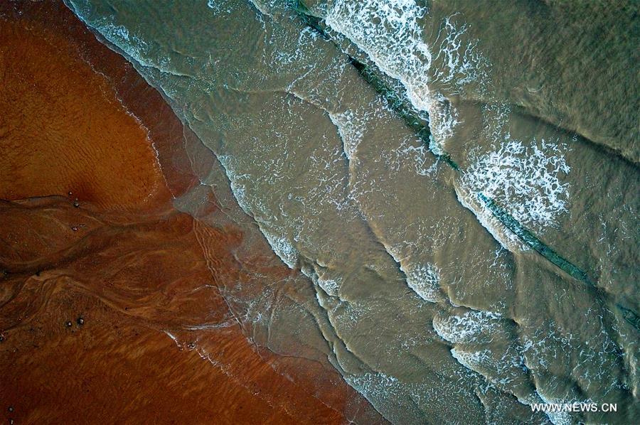 الشاطئ الطيني يجذب أكثر من 3 ملايين زائر في الصين