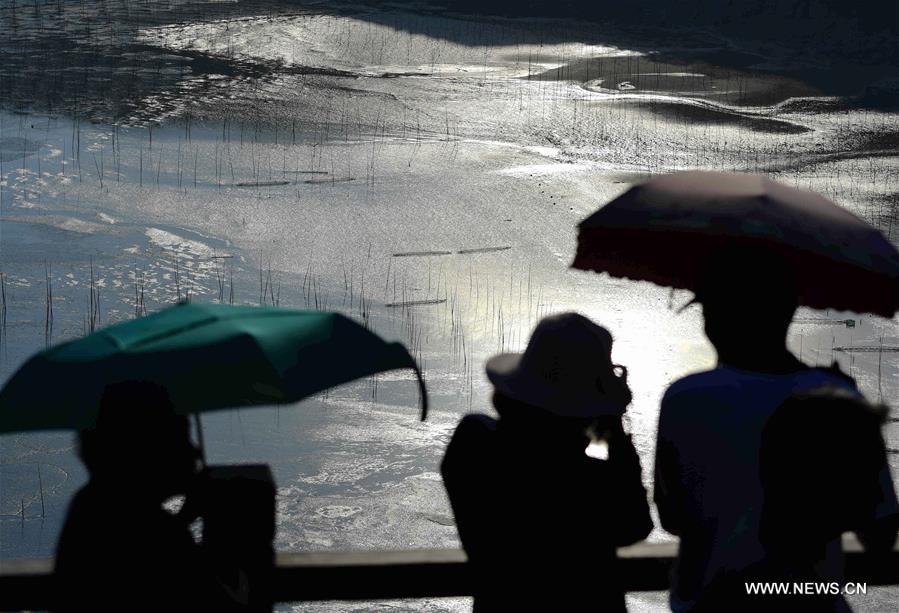 الشاطئ الطيني يجذب أكثر من 3 ملايين زائر في الصين