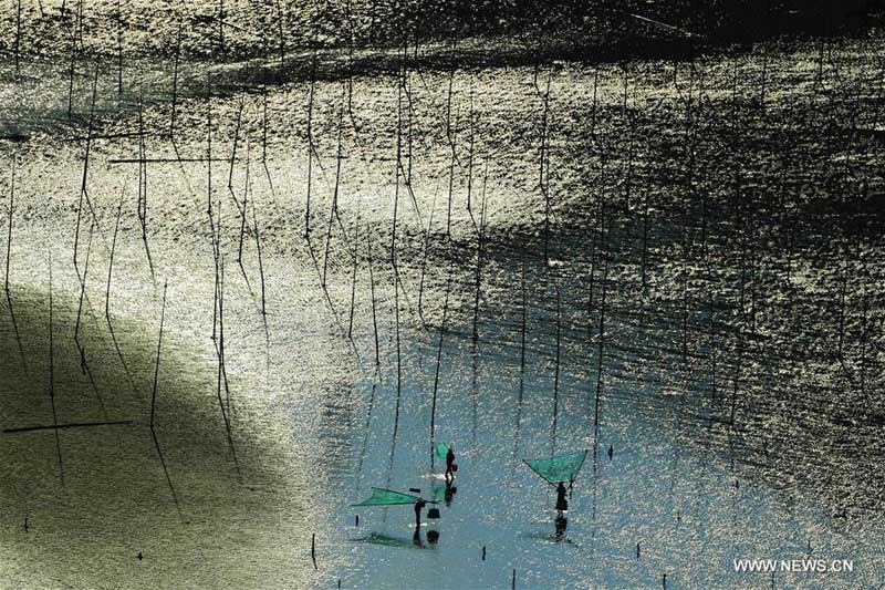 الشاطئ الطيني يجذب أكثر من 3 ملايين زائر في الصين