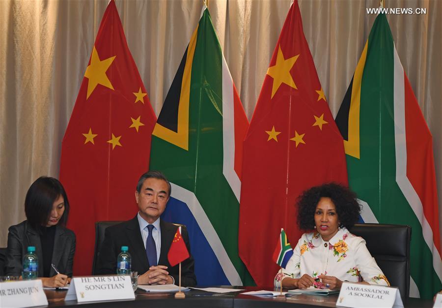 وزيرا خارجية الصين وجنوب إفريقيا يبحثان توثيق العلاقات الثنائية