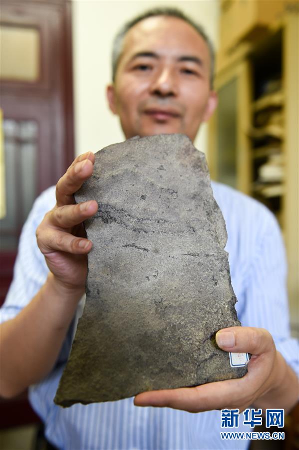 اكتشاف أقدم آثار أقدام الحيوانات على الأرض في الصين