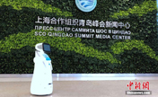 الروبوتات تقدم الخدمات في المركز الإعلامي بقمة تشينغداو لمنظمة شانغهاي للتعاون