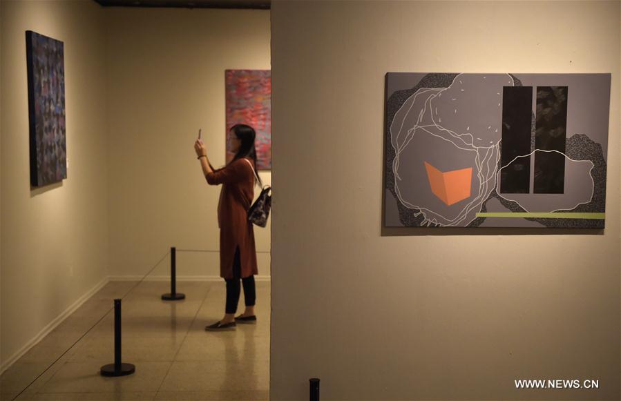 افتتاح معرض الفن المعاصر المجري في بكين
