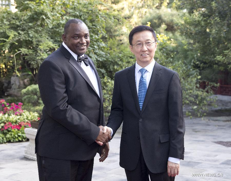نائب رئيس مجلس الدولة يجتمع مع رئيس غامبيا