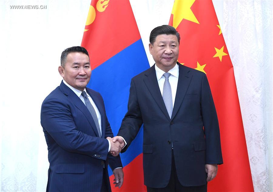 شي يبحث مع الرئيس المنغولي العلاقات الثنائية