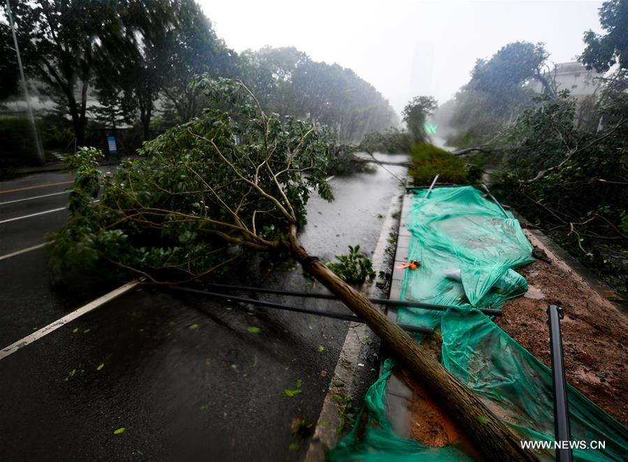 إعصار مانغخوت القوي يصل إلى سواحل جنوب الصين