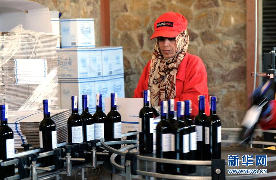 النبيذ المغربي يدخل السوق الصينية عبر معرض شانغهاي للاستيراد