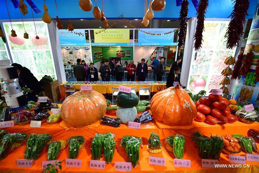 معرض يانغلينغ للتكنولوجيا الزراعية الحديثة في مقاطعة شنشي