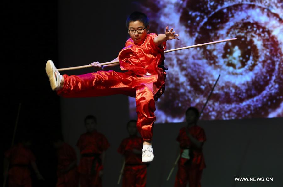عرض الكونغ فو الصينية يجذب جمهورا في هيوستن
