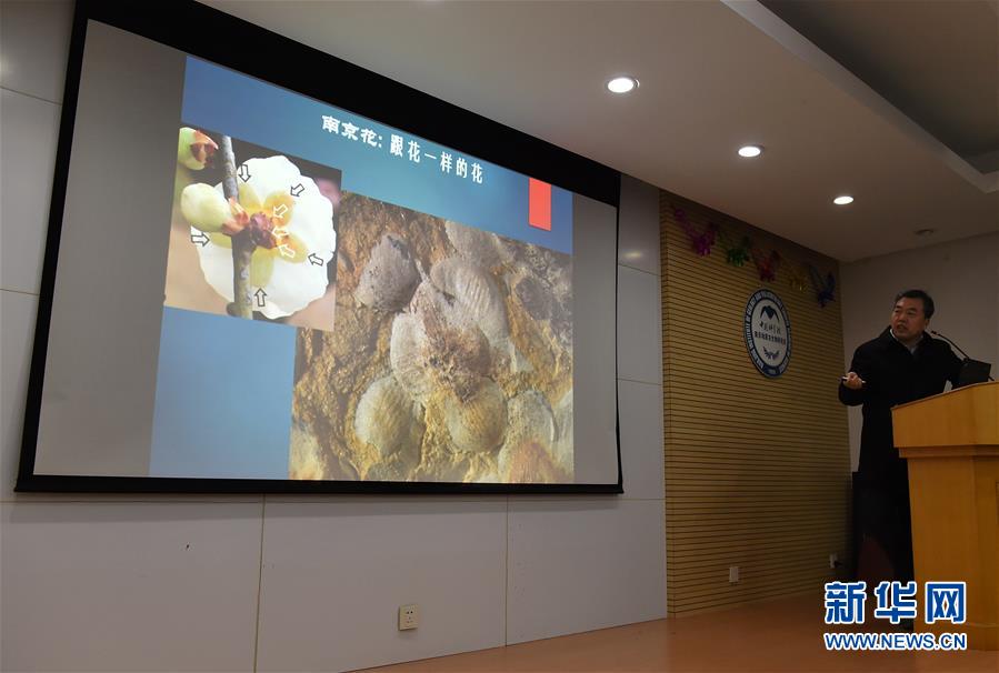 اكتشاف أقدم الأحافير للزهور في العالم بالصين