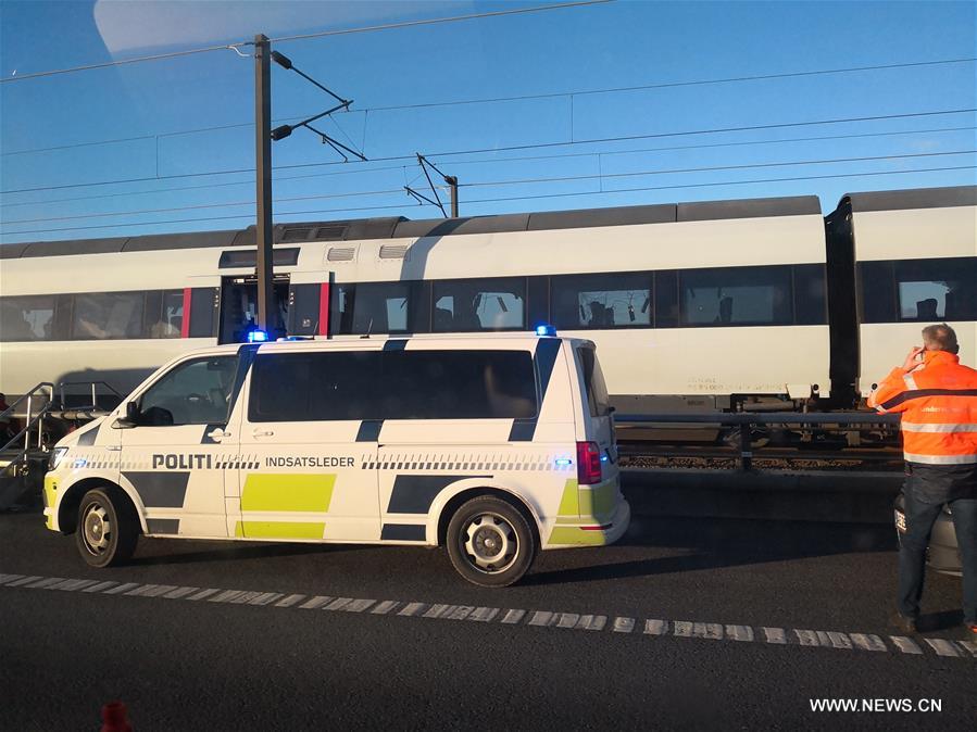 ارتفاع عدد قتلى حادث القطار في الدنمارك إلى ثمانية