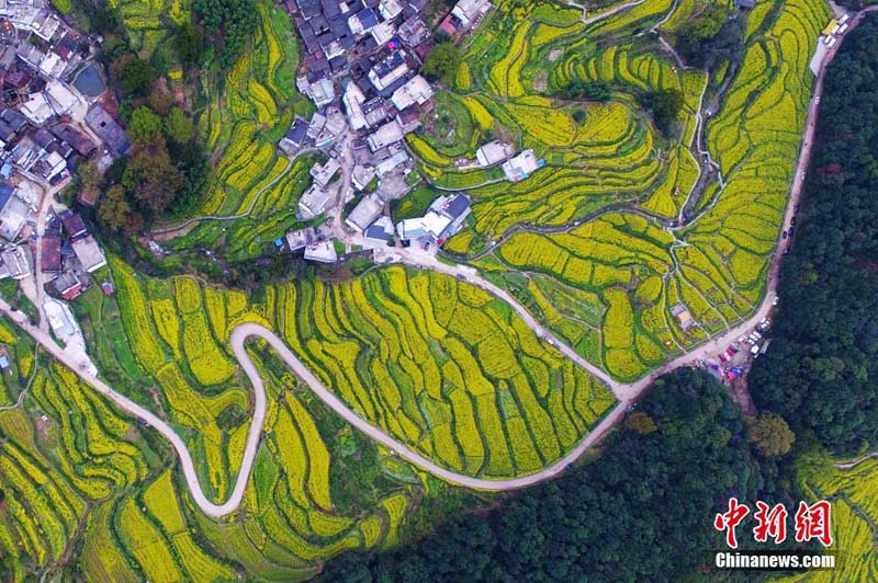 بالصور: أفضل 10 مقاصد سياحية تناسب عطلة عيد تشينغ مينغ