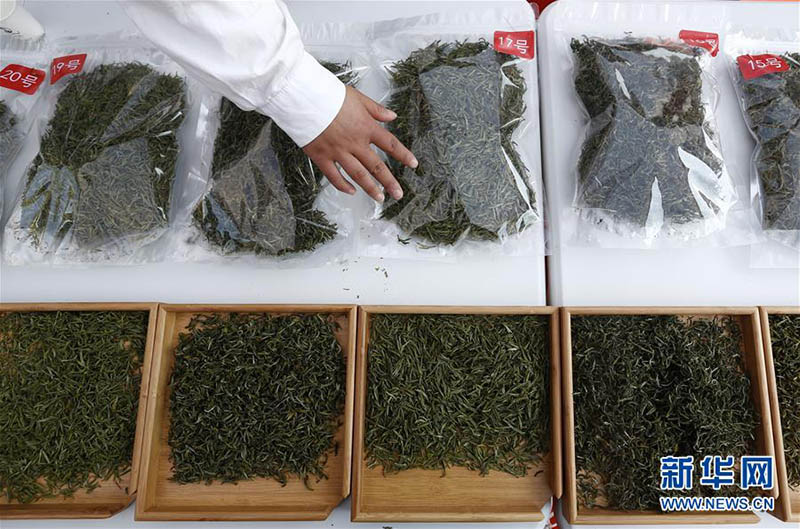 بالصور: كيف يمكن اختيار النوع المثالي للشاي الأخضر؟