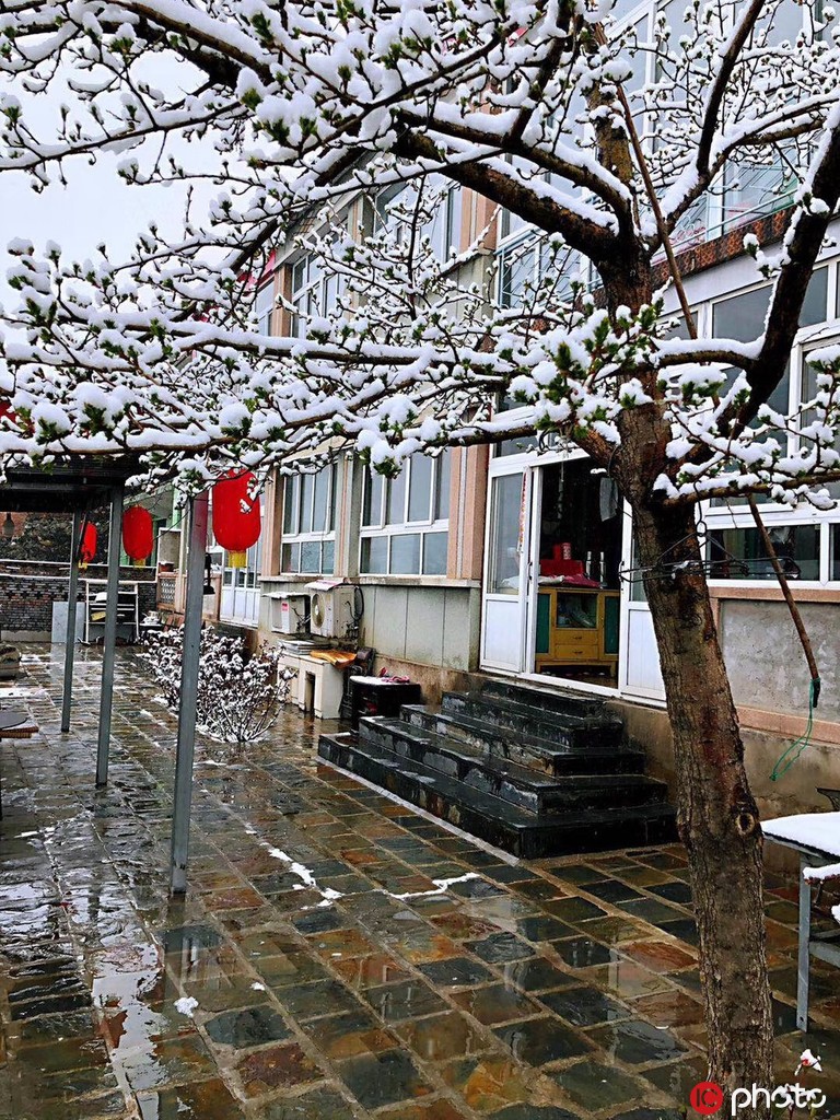 أمطار وثلوج تتساقط على بكين في فصل الربيع