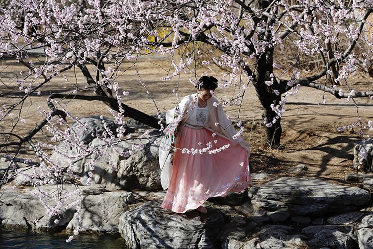 الربيع يزداد بهاءاً عندما ترسم الورود الملونة وملابس هانفو لوحة فنية جميلة