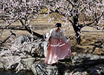 الربيع يزداد بهاءاً عندما ترسم الورود الملونة وملابس هانفو لوحة فنية جميلة