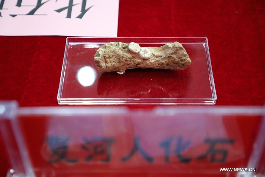 اكتشاف أقدم موقع أثري في هضبة تشينغهاي-التبت