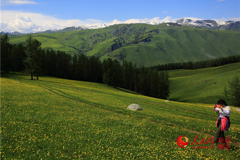 مرج ناران في شينجيانغ