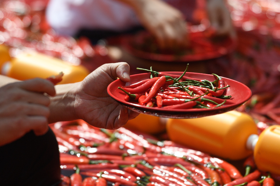 مهرجان أكل الفلفل الحار في شرقي الصين