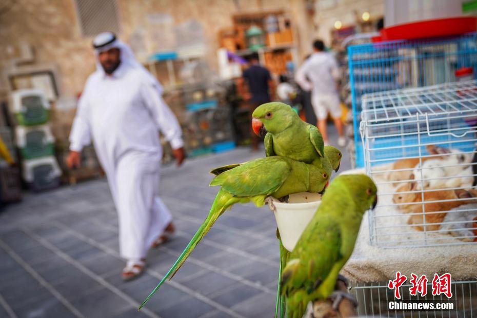 بالصور:تجريب حياة 