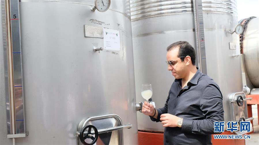 مصنع نبيذ مغربي يستعد للمشاركة في معرض الصين الدولي للاستيراد 