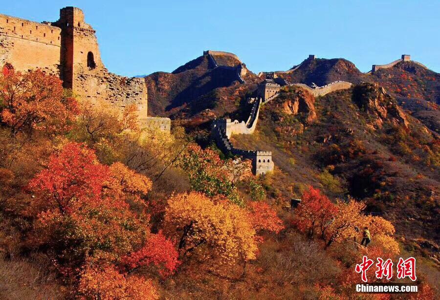 الخريف يضفي جماله على سور الصين العظيم