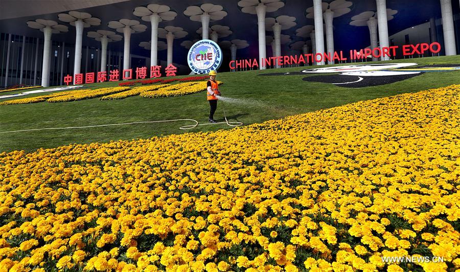 اللجنة المنظمة: التحضيرات لمعرض الصين الدولي الثاني للاستيراد دخلت مرحلتها النهائية