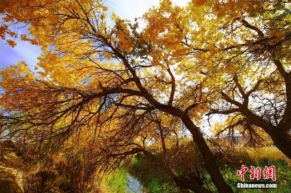 هذه المجموعة من الصور تخبرك كم هو جميل هذا الخريف