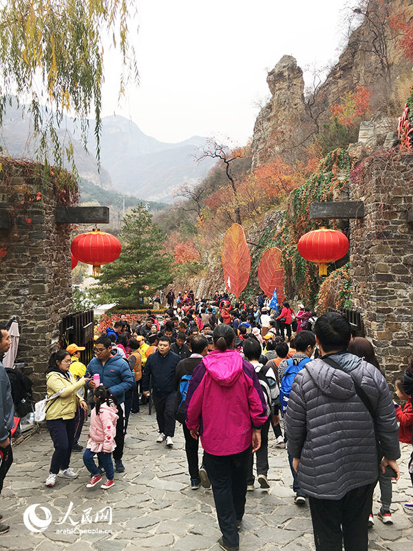 الزوار يستمتعون بالمناظر الساحرة للاوراق الحمراء بضاحية بكين