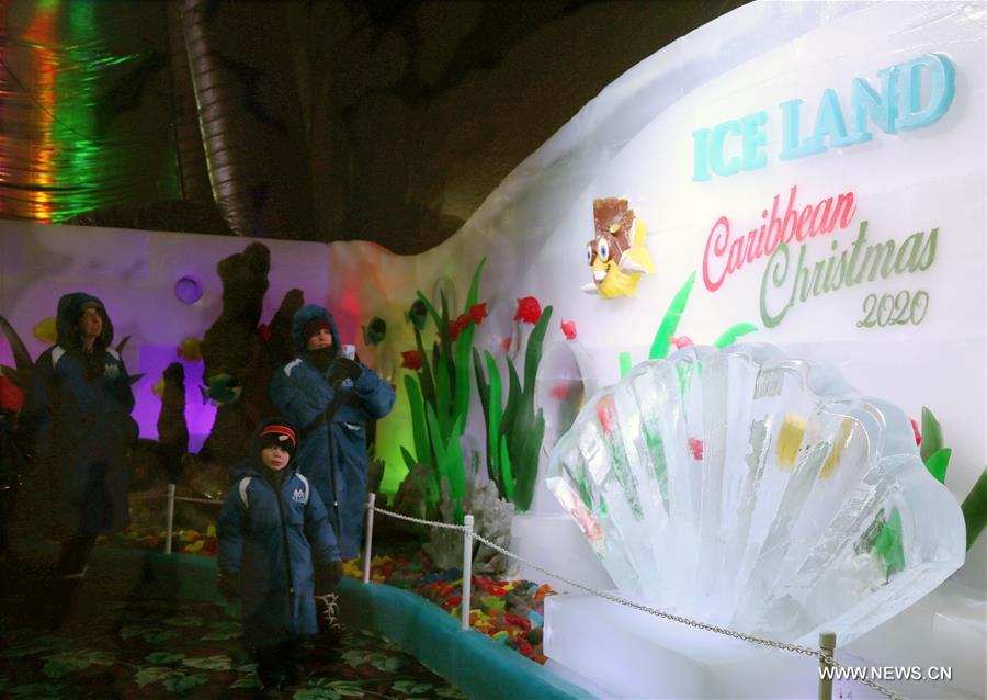 إقامة معرض منحوتات جليدية صيني سنوي في تكساس