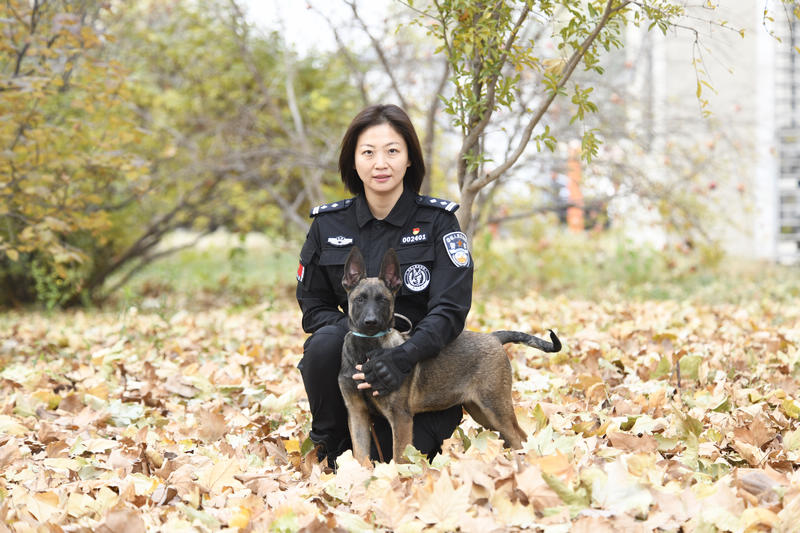 لأول مرة .. كلاب مستنسخة في سلك كلاب الشرطة ببكين رسميا