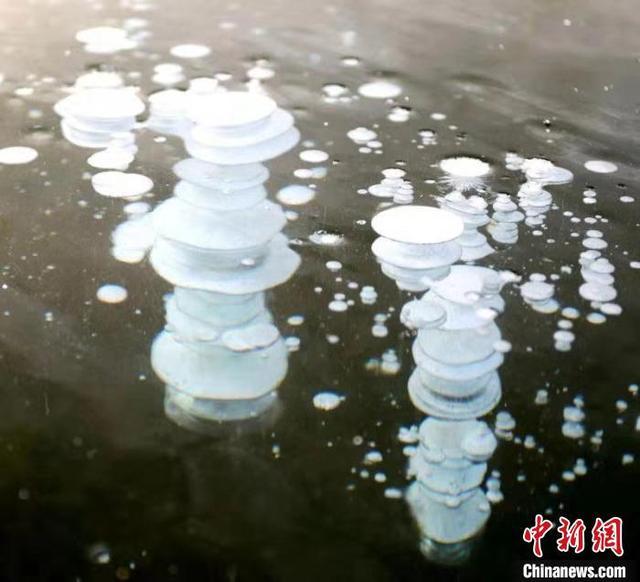 ظاهرة فقاقيع الجليد النادرة في بحيرة بمقاطعة هيلونغ جيانغ