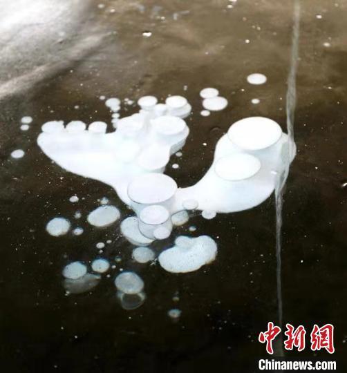 ظاهرة فقاقيع الجليد النادرة في بحيرة بمقاطعة هيلونغ جيانغ