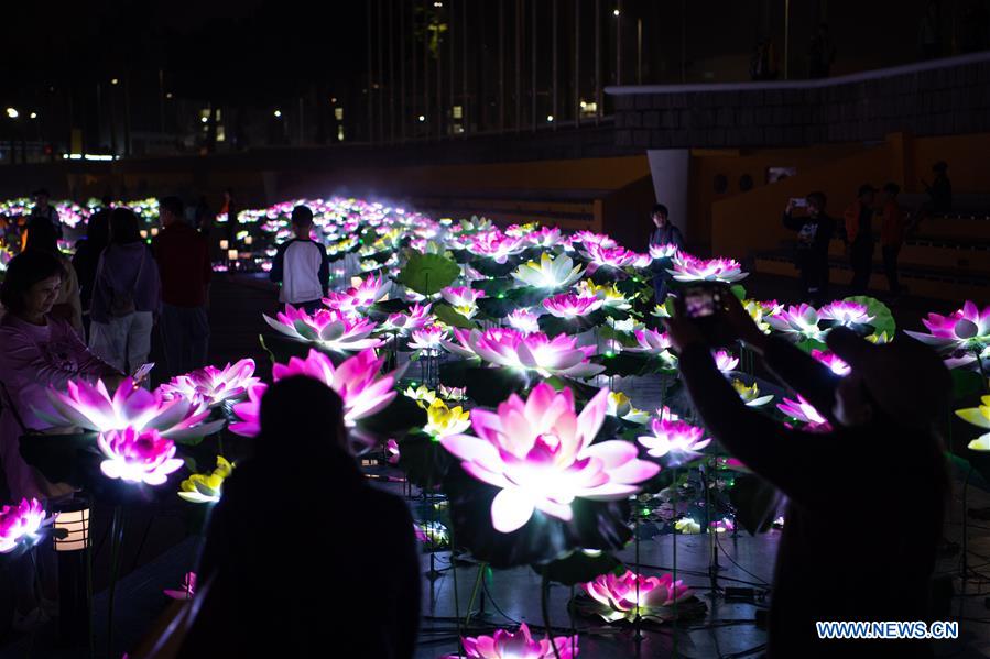 بالصور: مهرجان الأضواء للاحتفال بالذكرى العشرين لعودة ماكاو إلى وطنها الأم