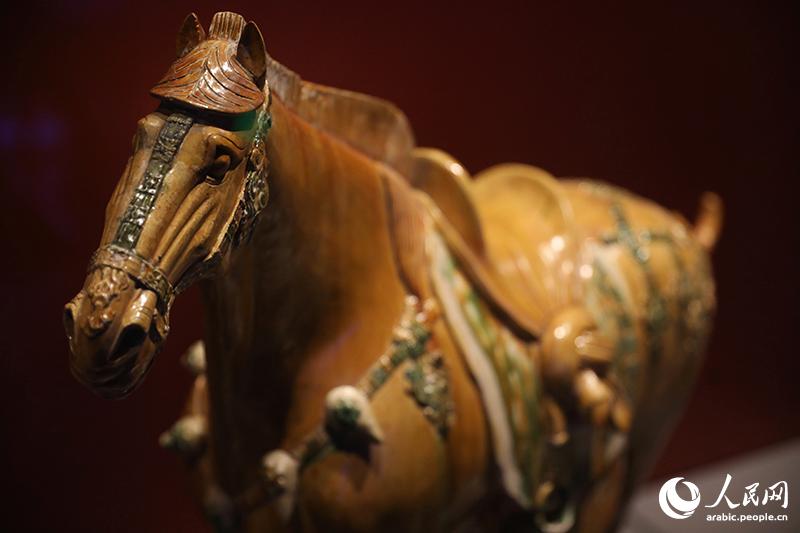 بالصور: متحف لياونينغ يقيم معرض 