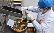  العملية الكاملة لإعداد ديكوتيون من الاعشاب الصينية لعلاج كوفيد-19