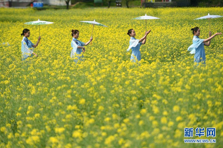 حفل موسيقي ممتع بين الزهور فى أجمل قرية بالصين