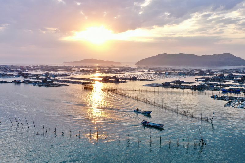 مزرعة تربية الأحياء البحرية في جنوب شرقي الصين
